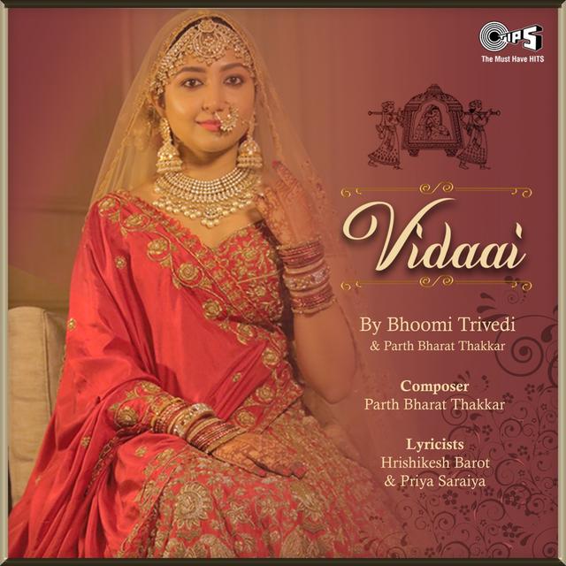 Album cover art for Vidaai