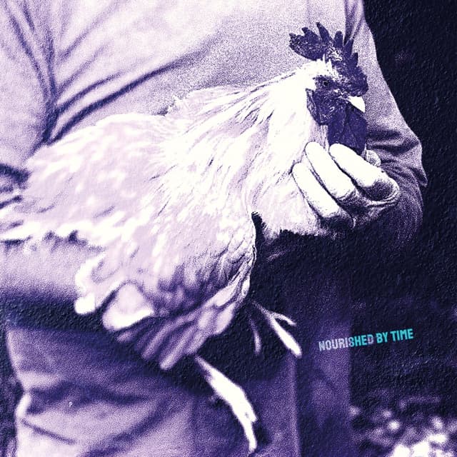 Album cover art for Catching Chickens