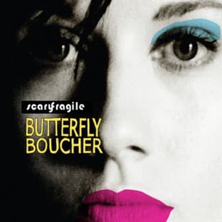 Album cover art for Scary Fragile