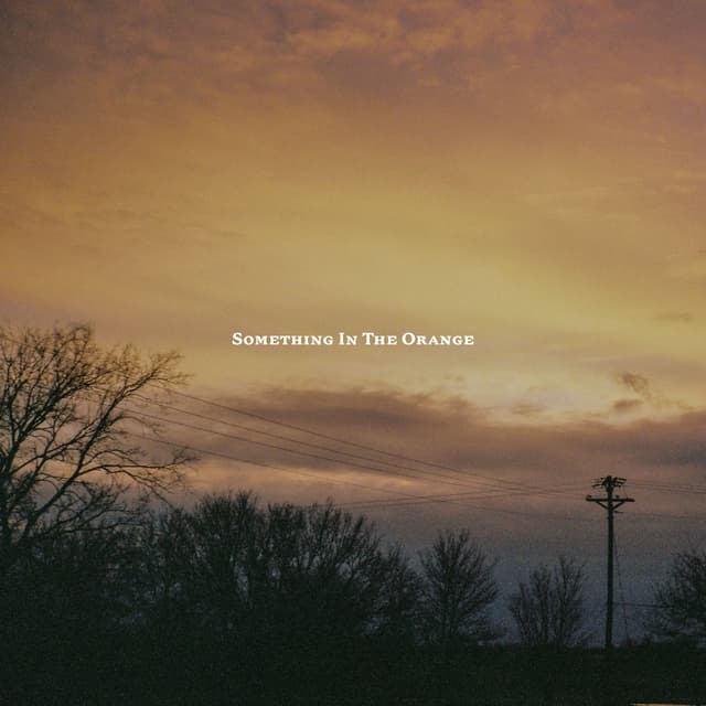 Album cover art for Something in the Orange