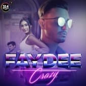 Album cover art for Crazy