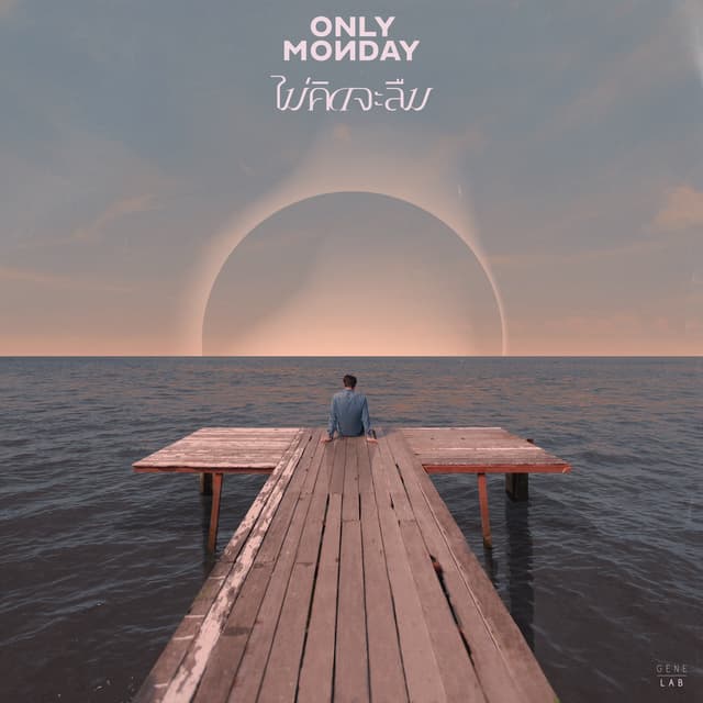 Album cover art for ไม่คิดจะลืม