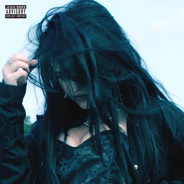 Album cover art for Sobriety
