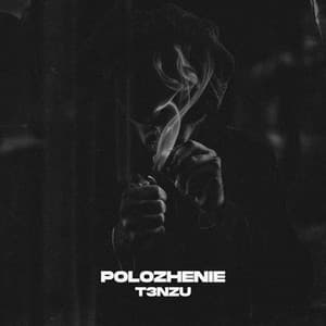 Album cover art for Polozhenie
