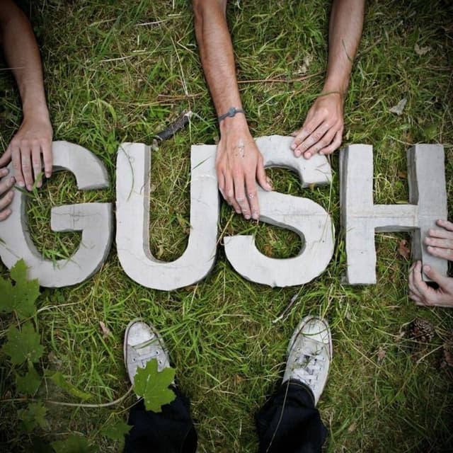 Album cover art for Gush