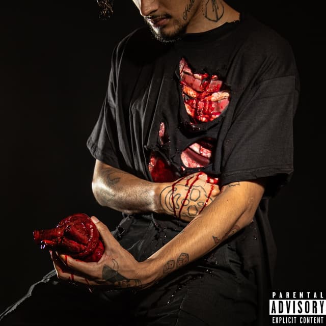 Album cover art for PAIN?