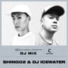 Real With You (feat. Shing02)