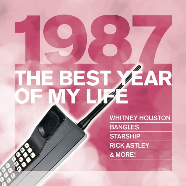 Album cover art for The Best Year Of My Life: 1987