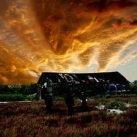 Album cover art for M To M