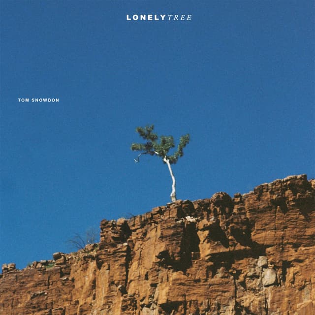 Album cover art for Lonely Tree