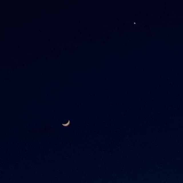 Album cover art for On the night he left