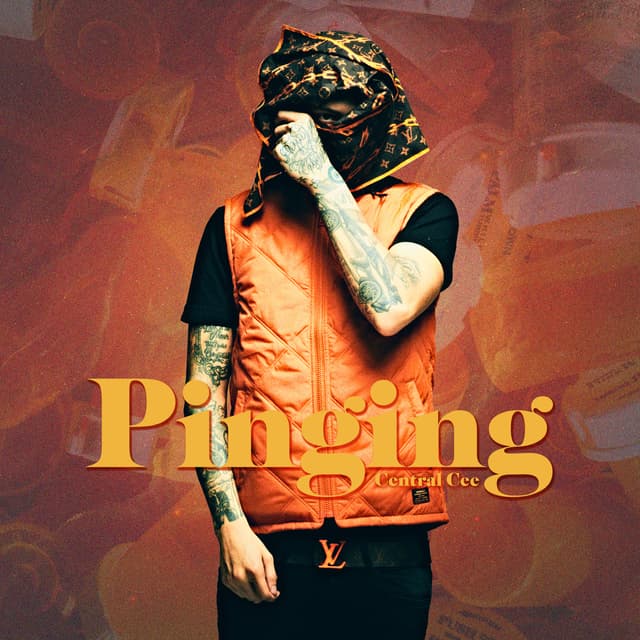 Album cover art for Pinging (6 Figures)