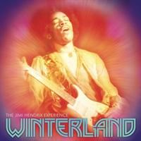 Album cover art for Live at Winterland