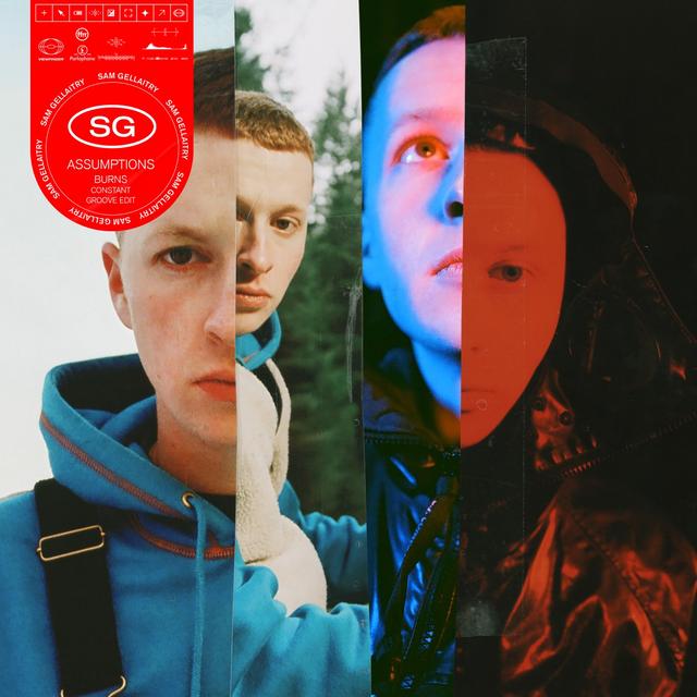 Album cover art for Assumptions