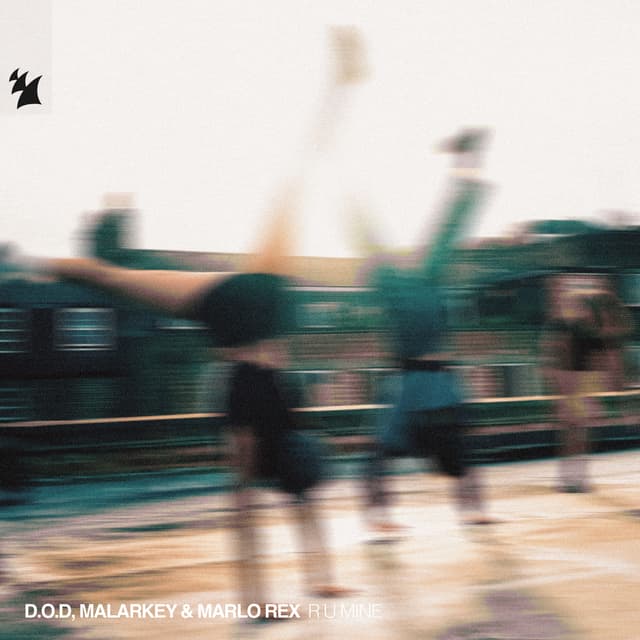 Album cover art for R U Mine