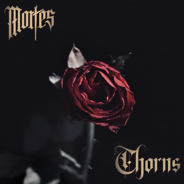 Album cover art for THORNS