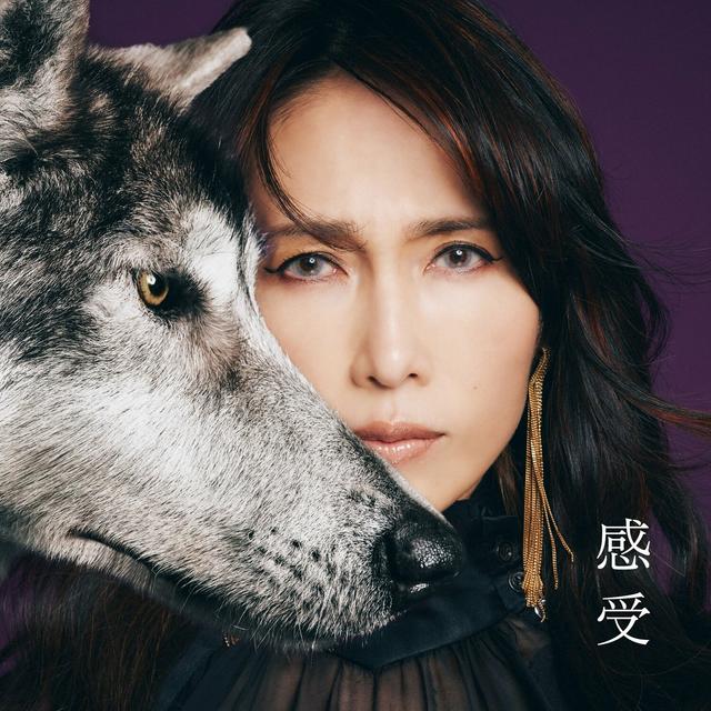 Album cover art for Kanjyu Shizuka Kudo 35th Anniversary self-cover album