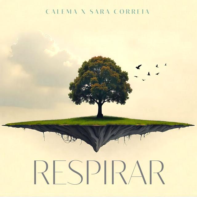 Album cover art for Respirar