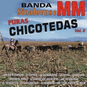 Album cover art for Puras Chicotedas, Vol. 2