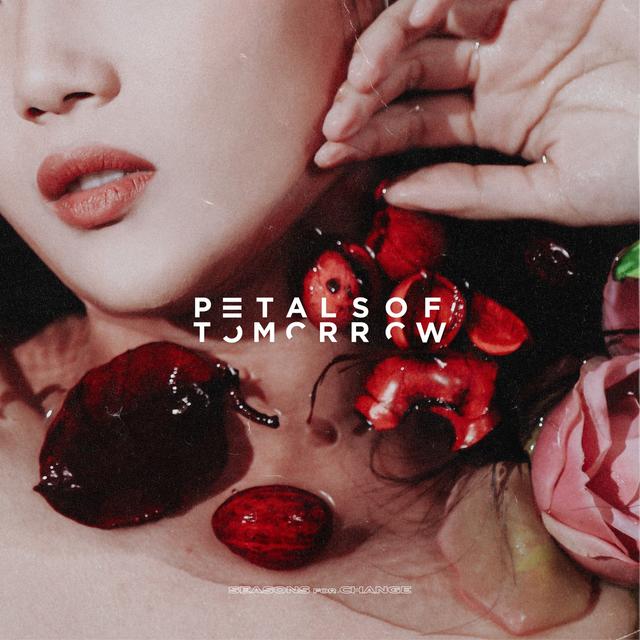 Album cover art for Petals of Tomorrow