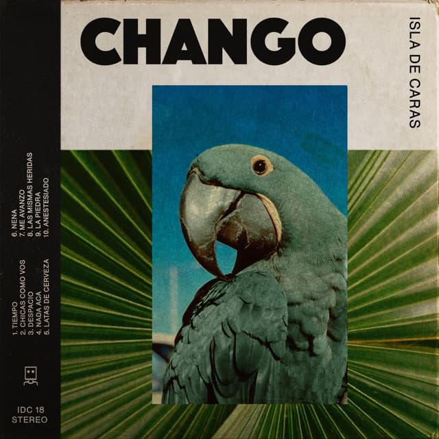 Album cover art for Chango