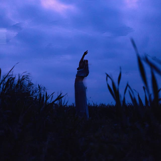 Album cover art for Dreamscape