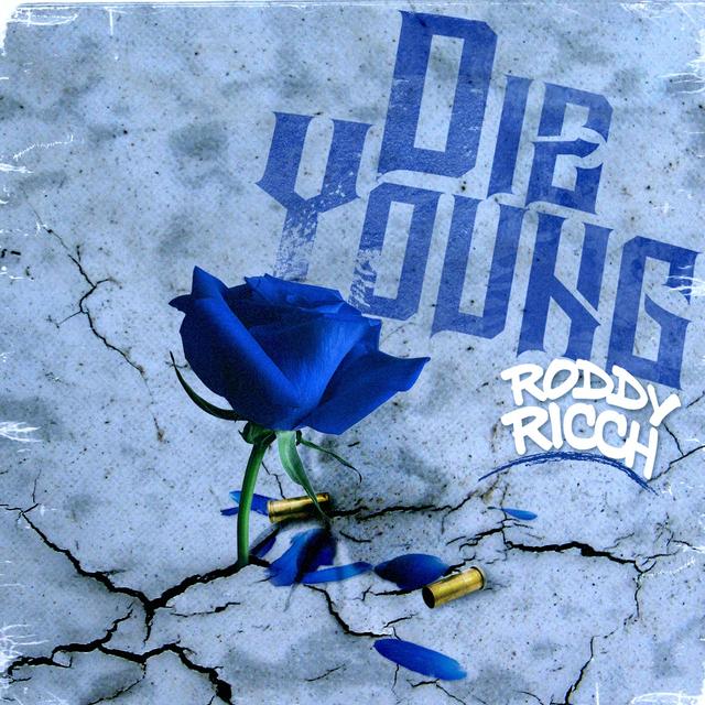 Album cover art for Die Young