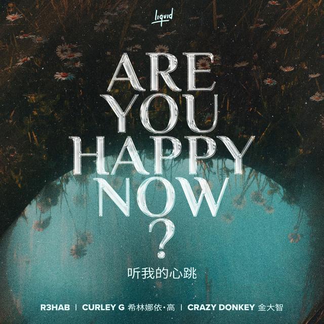 Album cover art for Are You Happy Now