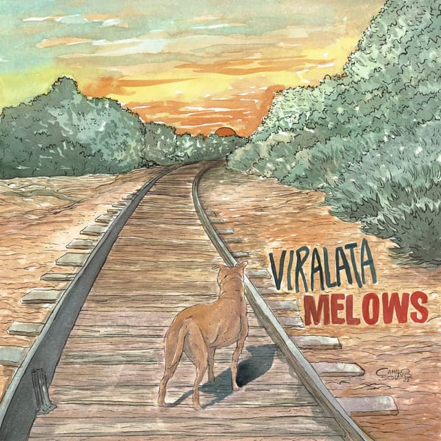 Album cover art for Viralata