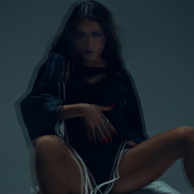 Album cover art for Instinto Animal
