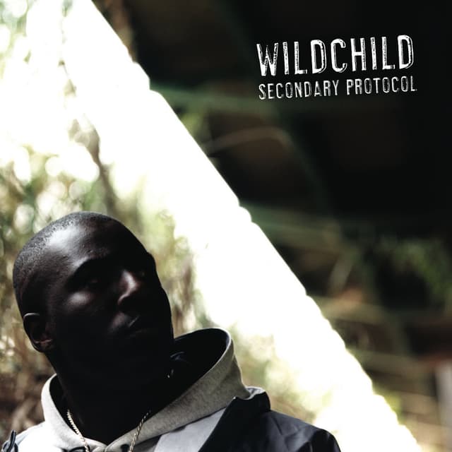 Album cover art for Secondary Protocol