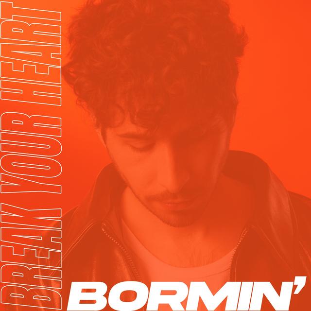 Album cover art for Break Your Heart