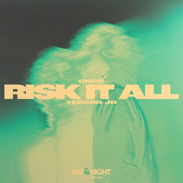 Album cover art for Risk It All