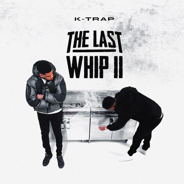 Album cover art for The Last Whip II