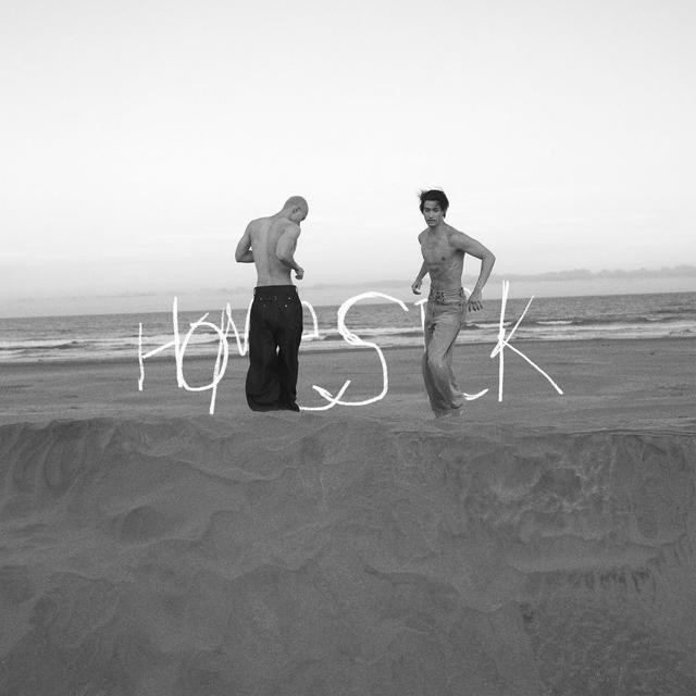 Album cover art for Homesick