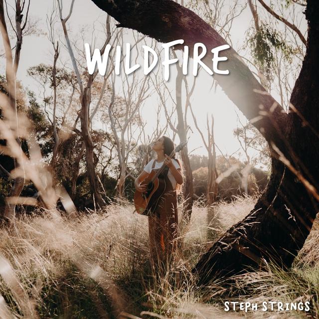 Album cover art for Wildfire