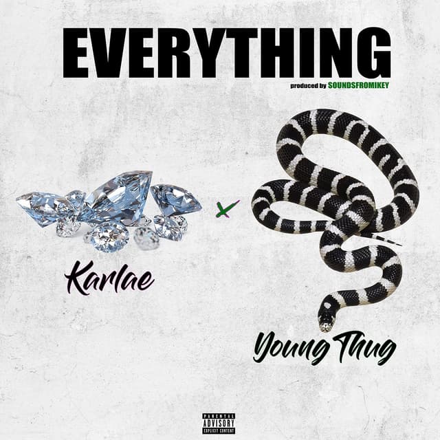 Album cover art for Everything