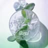 yeop