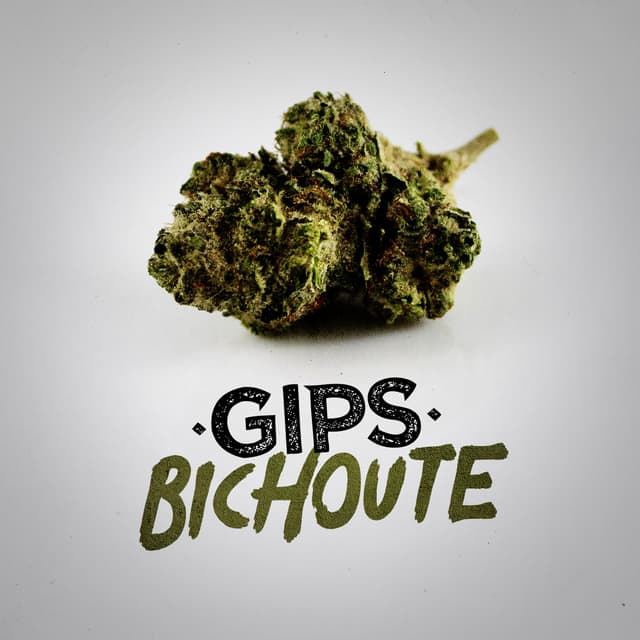 Album cover art for Bichoute