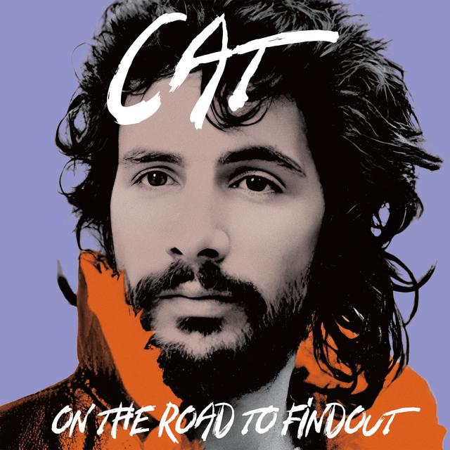 Album cover art for On the Road to Findout
