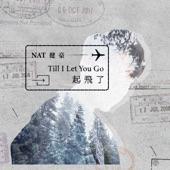 Album cover art for Till I Let You Go