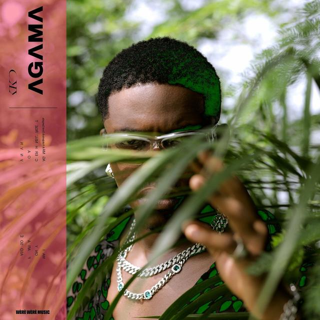 Album cover art for Agama