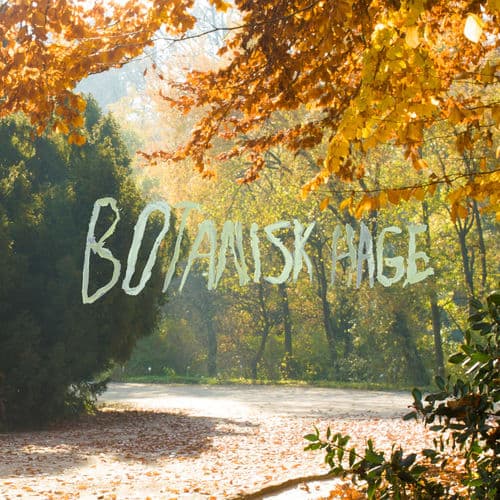 Album cover art for Botanisk Hage