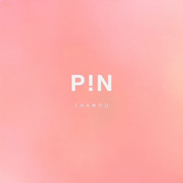 Album cover art for PIN PROJECT X CHAWOO