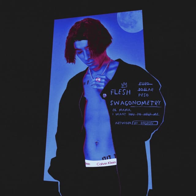 Album cover art for SWAGONOMETRY