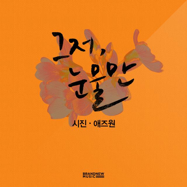 Album cover art for 그저 눈물만