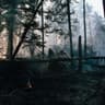 Backyard (Remastered)