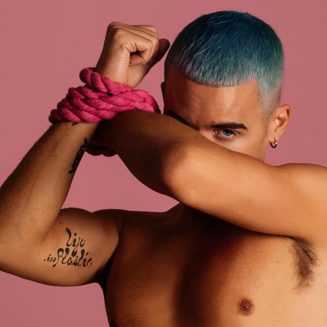 Album cover art for Life in Plastic