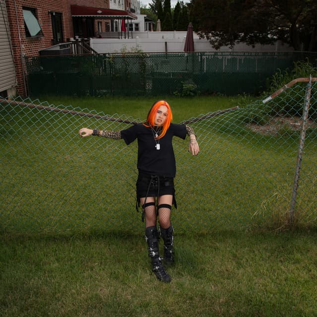 Album cover art for Mr. Peaked in High School