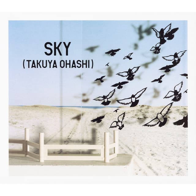 Album cover art for Sky